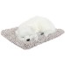 VOILA Sleeping Cute Dog for Car Dashboard and Home Decor with Activated Carbon for Decoration Toy Decorative Showpiece